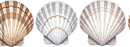 Watercolor scallop shell border design set in muted neutral colors, perfect for coastal, beach, seafood, ocean, and summer vacation design elements.