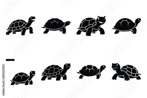 snickering turtle silhouette icon set on the white background