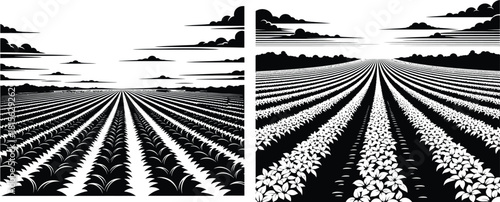 Vast agricultural fields with rows of growing crops extending towards a distant horizon under clouds