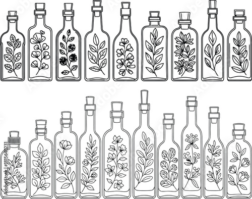 Collection of various shaped glass bottles with cork stoppers containing delicate botanical elements inside