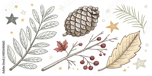 5 natural doodles including pinecone outlines, leaves, and berries in a cute, simple, and clean festive vector style.