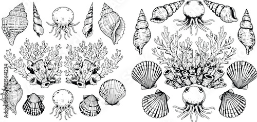 Hand drawn outline collection of various seashells, coral formations, and sea creatures from the ocean floor