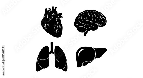 A collection of black silhouette icons representing vital human internal organs, including the heart, brain, lungs, and liver, isolated on a white background for medical and anatomical design concepts