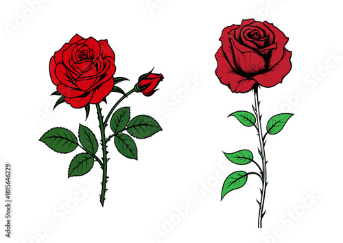 Vibrant rose illustration with detailed petals and leaves