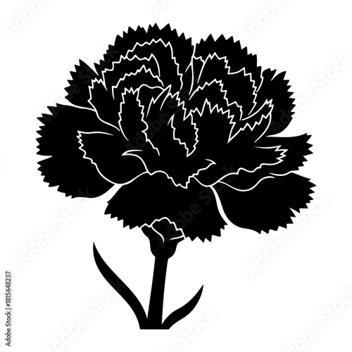 Silhouette of a carnation flower with jagged petals