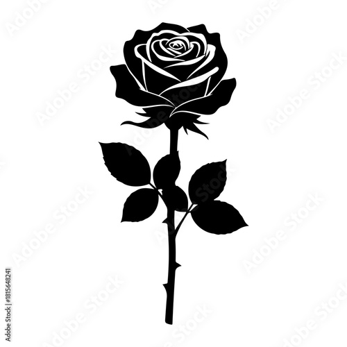 Bilde på lerret Silhouette of a rose with leaves and a thorny stem