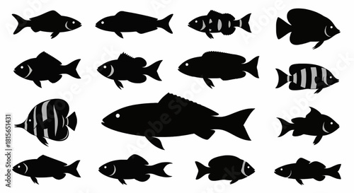 fish silhouette vector collection. Illustration vector of different kinds of Fish Silhouette. Cute graphic design of fish in ocean.