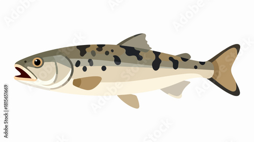 Fish illustration vector diagram