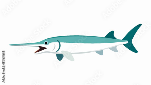 Fish illustration vector diagram