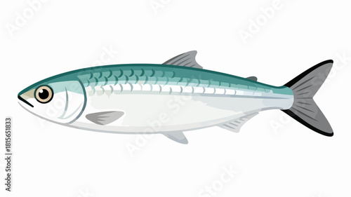 Fish illustration vector diagram