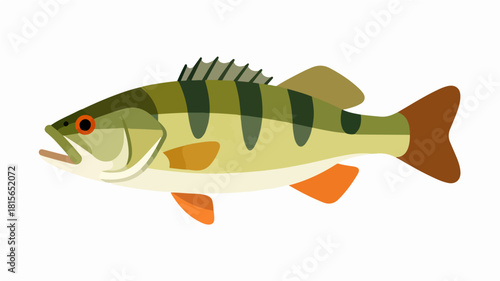 Fish illustration vector diagram