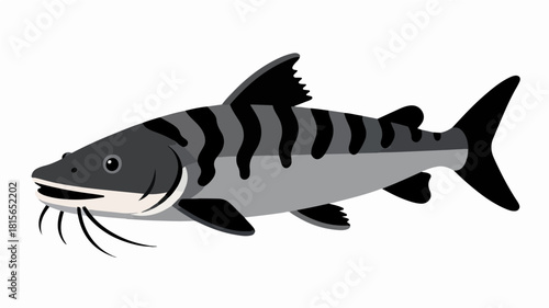 Fish illustration vector diagram