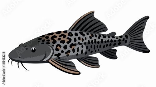 Fish illustration vector diagram