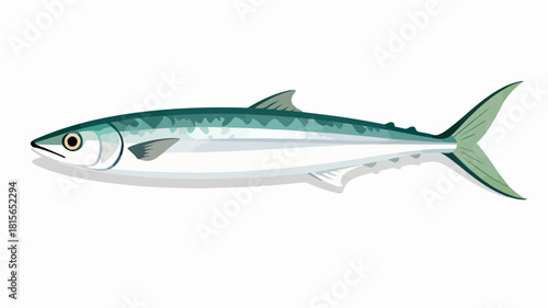 Fish illustration vector diagram