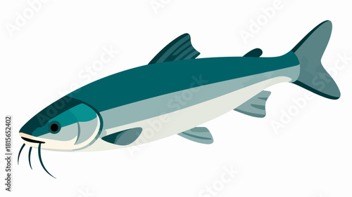 Fish illustration vector diagram