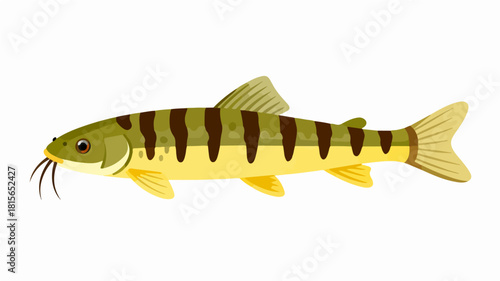 Fish illustration vector diagram