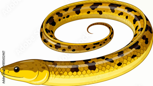 Fish illustration vector diagram