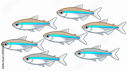 Fish illustration vector diagram