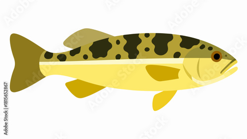 Fish illustration vector diagram