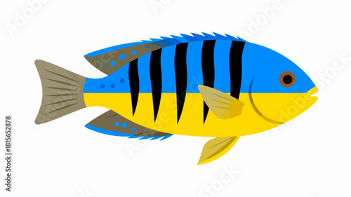 Fish illustration vector diagram