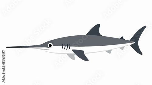 Fish illustration vector diagram
