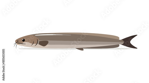 Fish illustration vector diagram