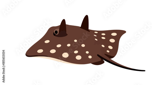Fish illustration vector diagram
