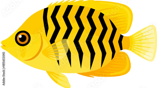 Fish illustration vector diagram