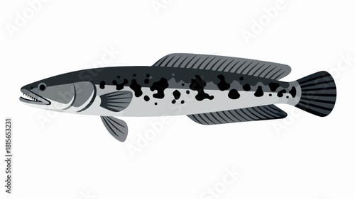 Fish illustration vector diagram