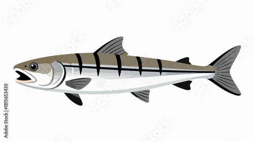 Fish illustration vector diagram