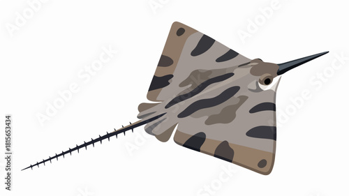 Fish illustration vector diagram