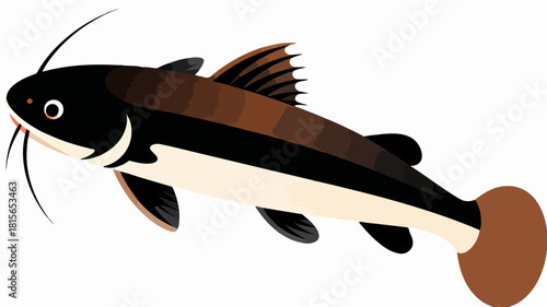 Fish illustration vector diagram