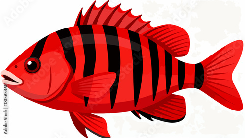 Fish illustration vector diagram