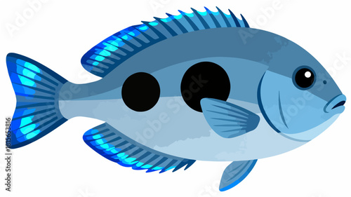 Fish illustration vector diagram