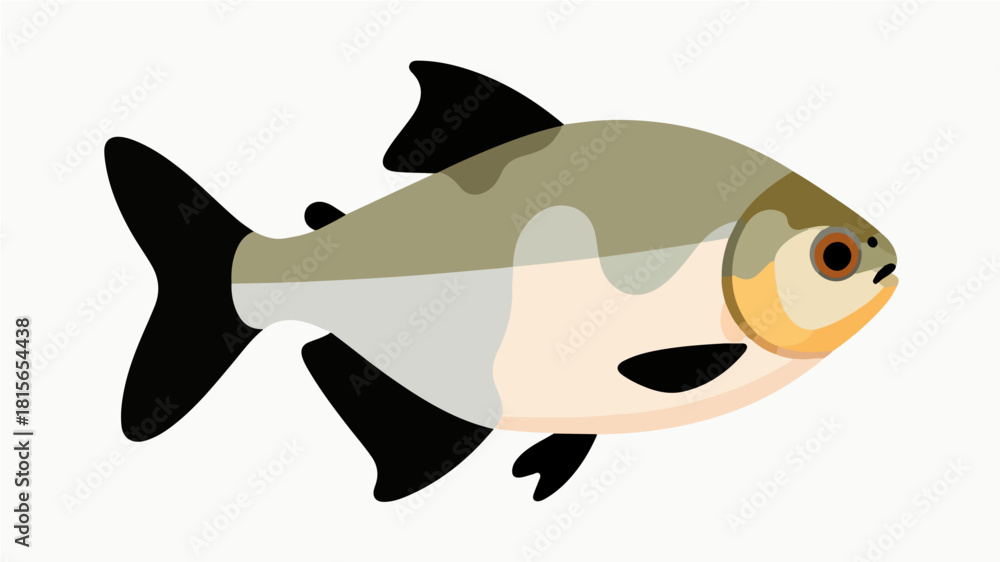 Obraz premium Fish illustration vector diagram