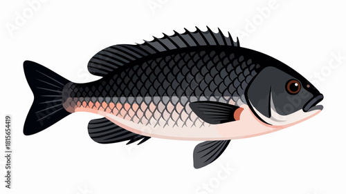 Fish illustration vector diagram