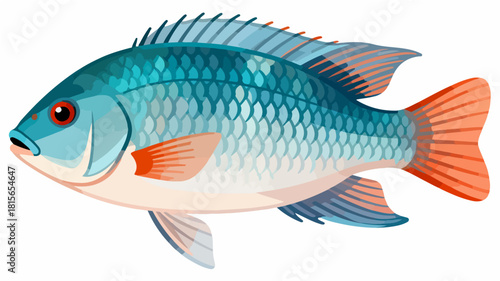 Fish illustration vector diagram