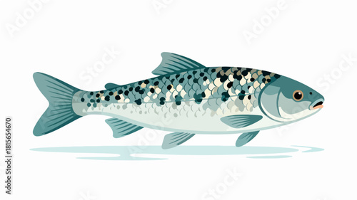 Fish illustration vector diagram