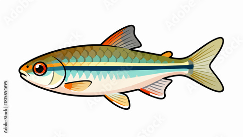 Fish illustration vector diagram