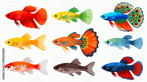 Fish illustration vector diagram