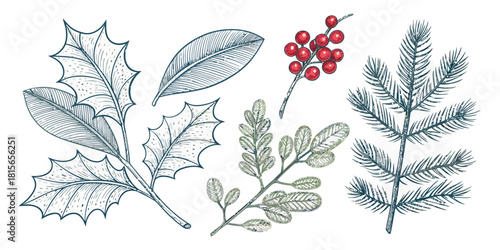 4 Christmas doodles including holly leaves, mistletoe leaves, and pine needles in a cute, simple, and clean festive vector style.