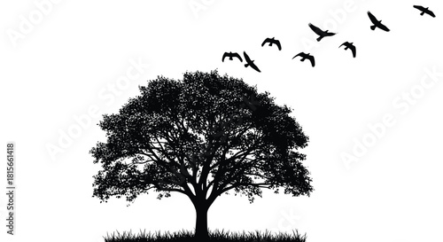Silhouette of a large, mature deciduous tree standing on grass with a flock of birds flying away, depicting nature, environment, freedom, wildlife, growth, and natural landscape.