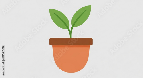 A small green plant with two fresh leaves growing in a simple terracotta pot, representing nature, growth, and new beginnings