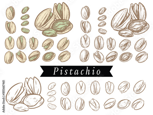 Vector of Pistachio with line drawing style for use in your art decoration.