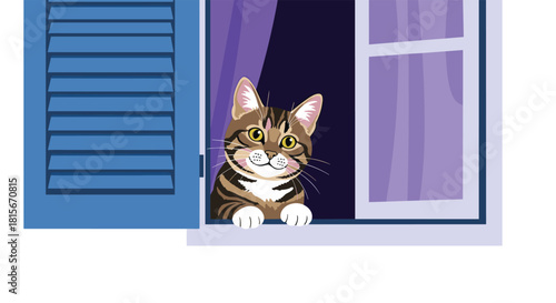 A cute brown tabby cat with big curious eyes is peeking out of an open window with blue shutters and a purple curtain inside.