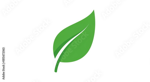 A simple, vibrant green leaf, representing nature, growth, and ecofriendliness, with a clean design isolated on
