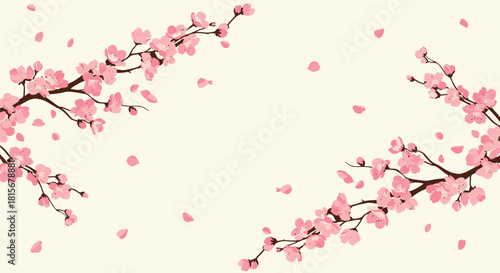 Elegant background with branches of pink cherry blossoms, or sakura, with falling petals creating a beautiful corner frame design.