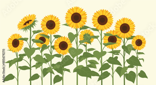 Bright and sunny illustration of a row of beautiful blooming sunflowers with green leaves and stems against a pale yellow background.