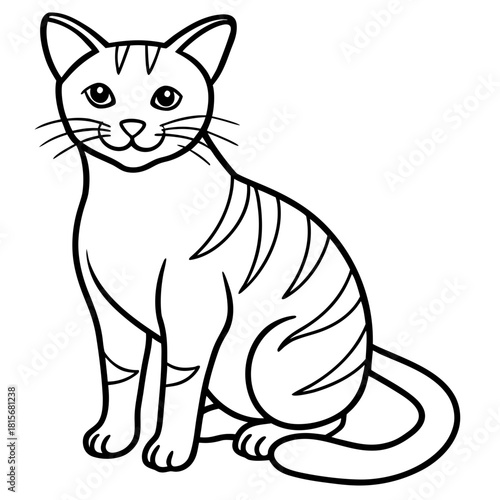 Cute cartoon tabby cat sitting patiently isolated on white background