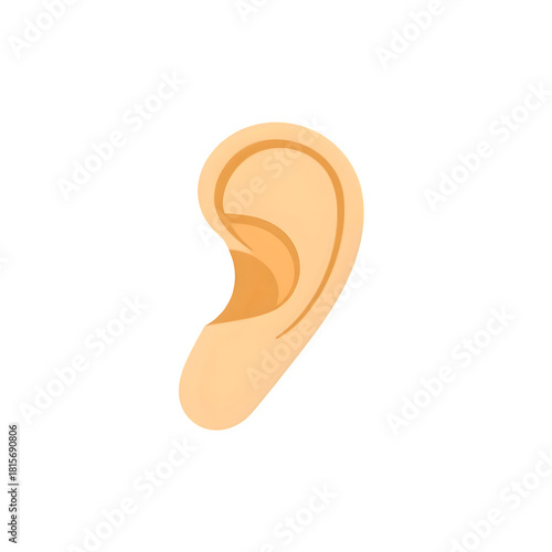 human ear isolated on white